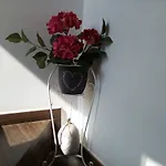 La Maison Del Borgo Antico Couette-café