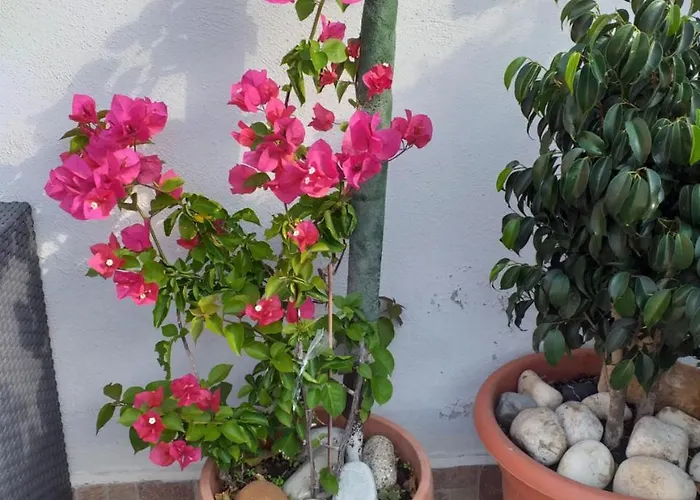 La Maison Del Borgo Antico Bed & Breakfast 3*