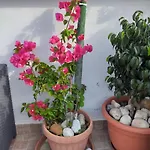 La Maison Del Borgo Antico Nocleg ze śniadaniem 3*