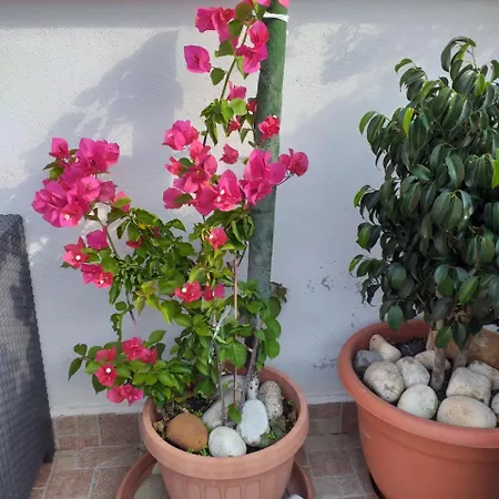 La Maison Del Borgo Antico לינה וארוחת בוקר 3*